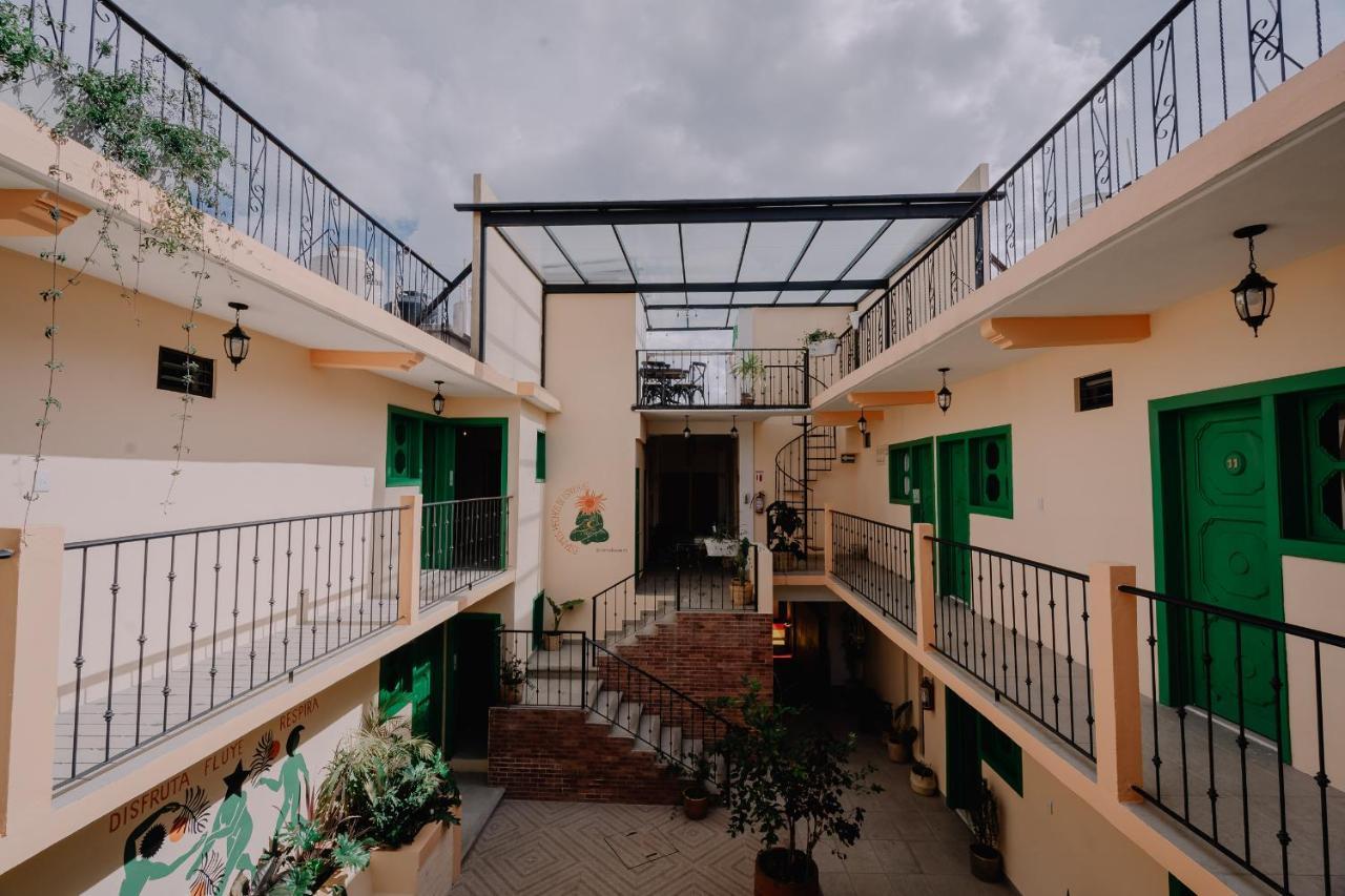 Hotel Cielo Y Selva, Сан-Кристобаль-де-Ла-Касас Экстерьер фото